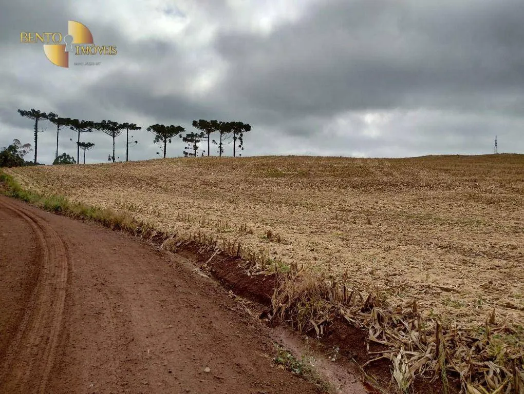 Fazenda à venda e para Arrendar de 297 ha em Francisco Beltrão, PR, Brasil