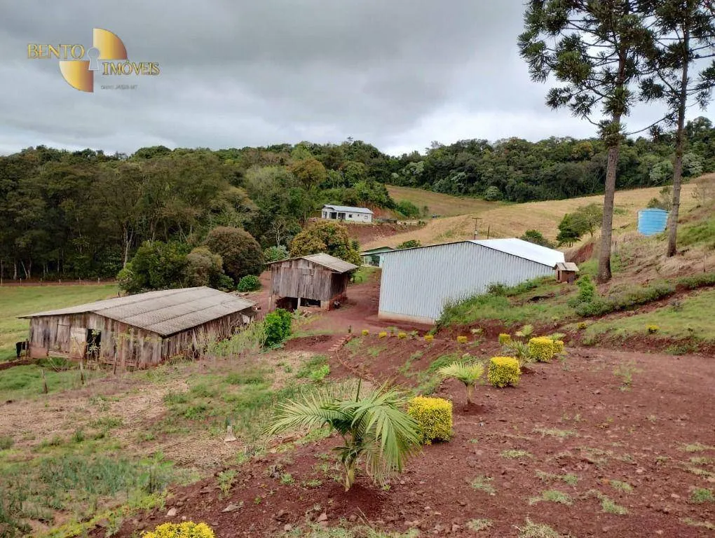 Fazenda à venda e para Arrendar de 297 ha em Francisco Beltrão, PR, Brasil