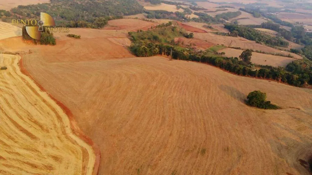 Fazenda à venda e para Arrendar de 297 ha em Francisco Beltrão, PR, Brasil