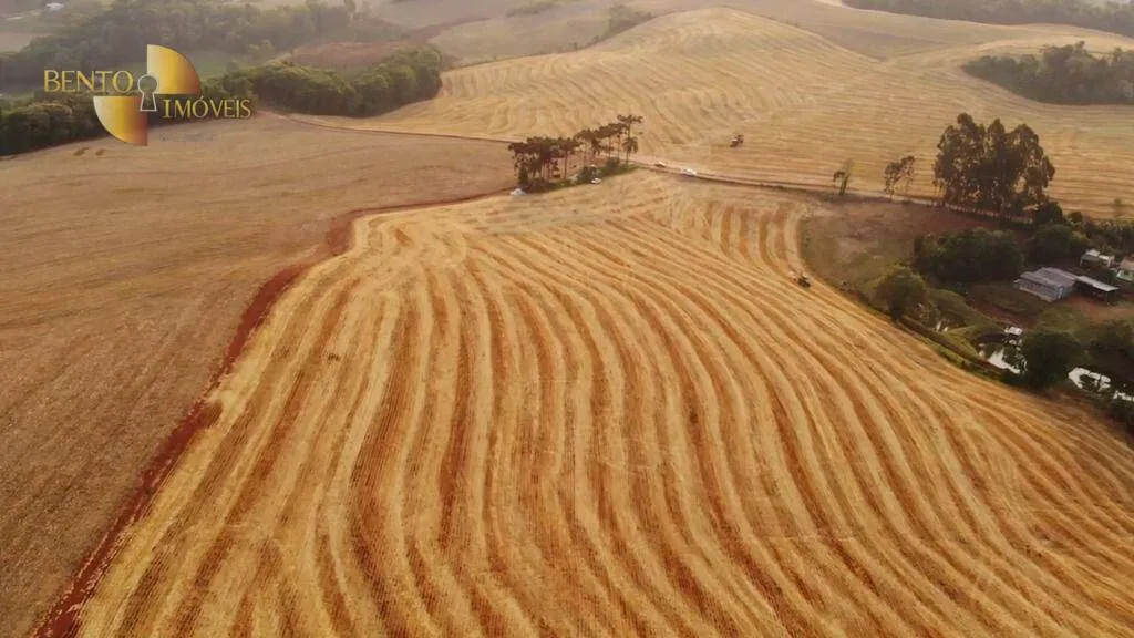 Fazenda à venda e para Arrendar de 297 ha em Francisco Beltrão, PR, Brasil