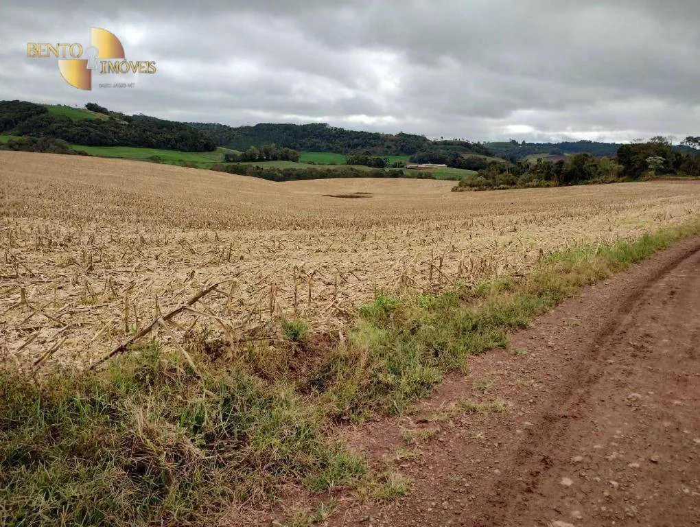 Fazenda à venda e para Arrendar de 297 ha em Francisco Beltrão, PR, Brasil