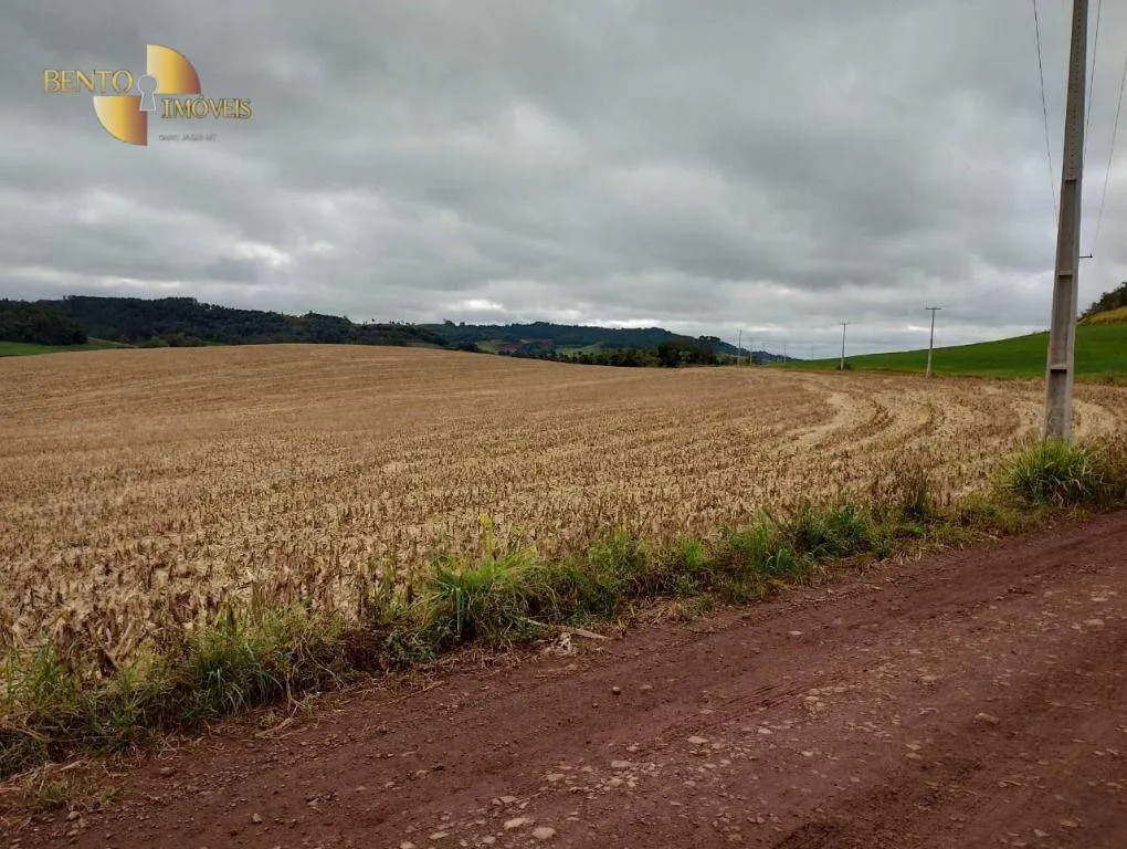 Fazenda à venda e para Arrendar de 297 ha em Francisco Beltrão, PR, Brasil