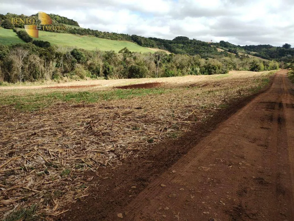 Fazenda à venda e para Arrendar de 297 ha em Francisco Beltrão, PR, Brasil