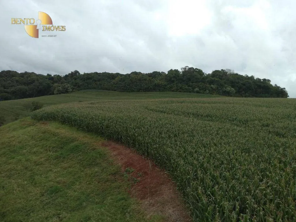 Fazenda à venda e para Arrendar de 297 ha em Francisco Beltrão, PR, Brasil