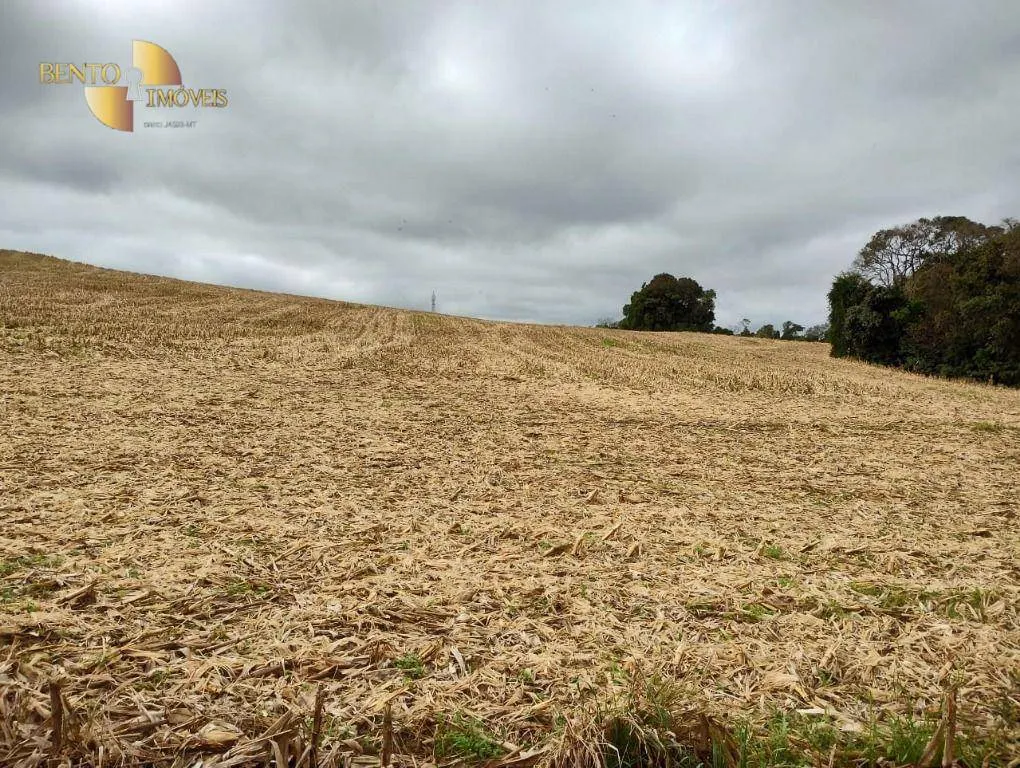 Fazenda à venda e para Arrendar de 297 ha em Francisco Beltrão, PR, Brasil