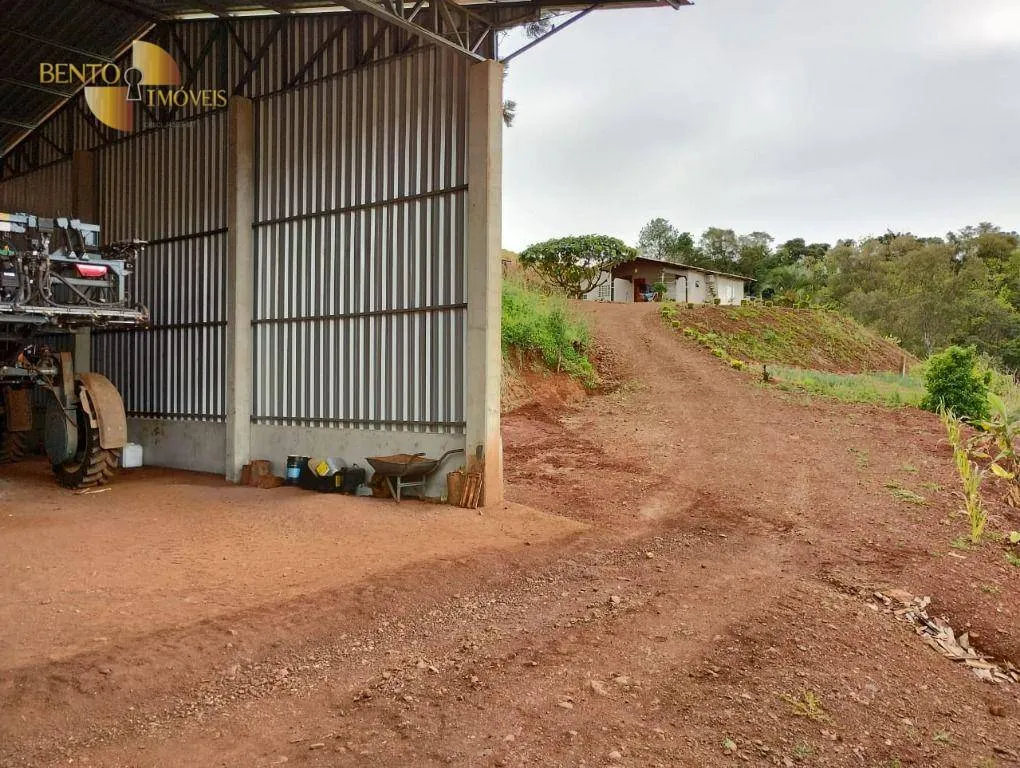 Fazenda à venda e para Arrendar de 297 ha em Francisco Beltrão, PR, Brasil
