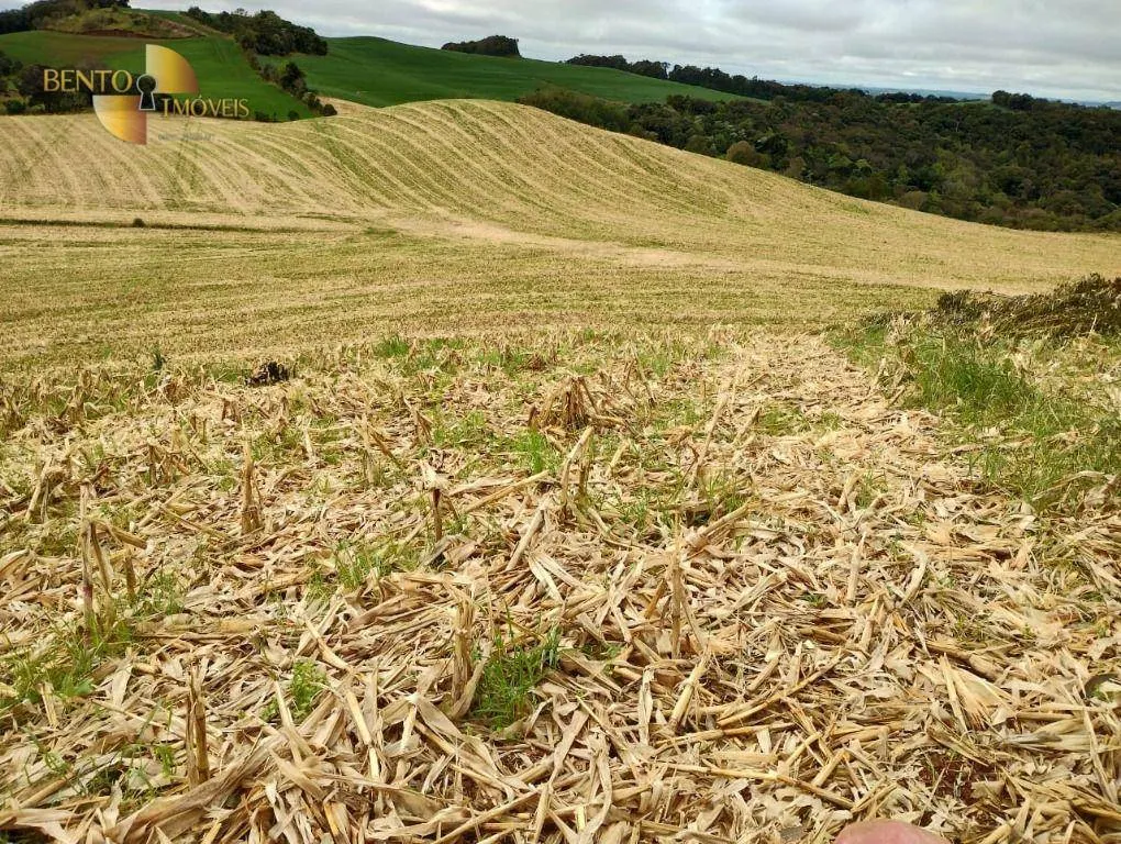 Fazenda à venda e para Arrendar de 297 ha em Francisco Beltrão, PR, Brasil