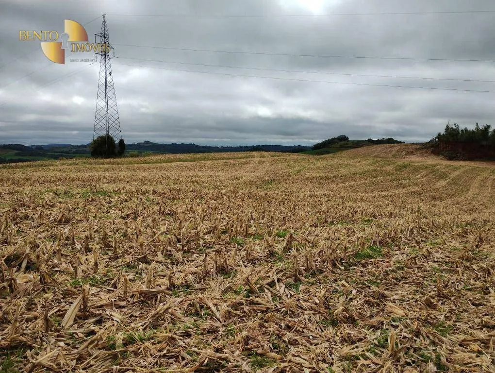 Fazenda à venda e para Arrendar de 297 ha em Francisco Beltrão, PR, Brasil