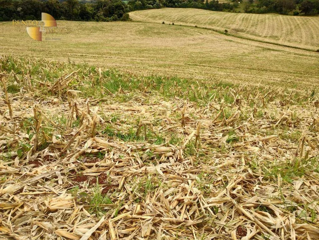 Fazenda à venda e para Arrendar de 297 ha em Francisco Beltrão, PR, Brasil