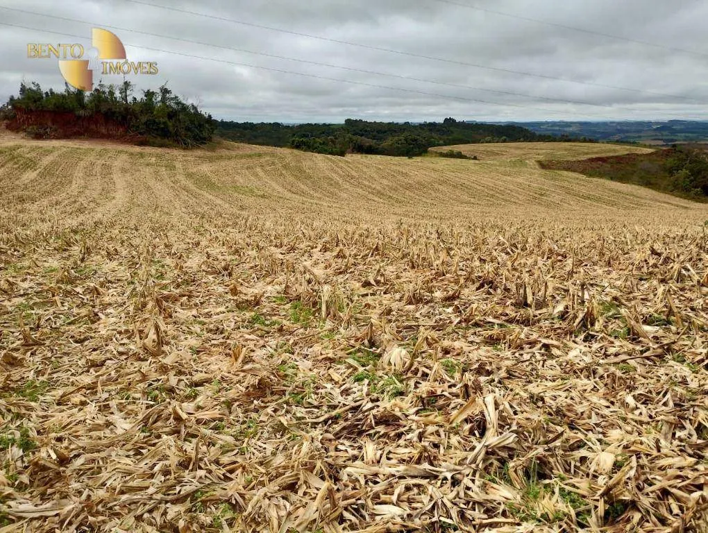 Fazenda à venda e para Arrendar de 297 ha em Francisco Beltrão, PR, Brasil