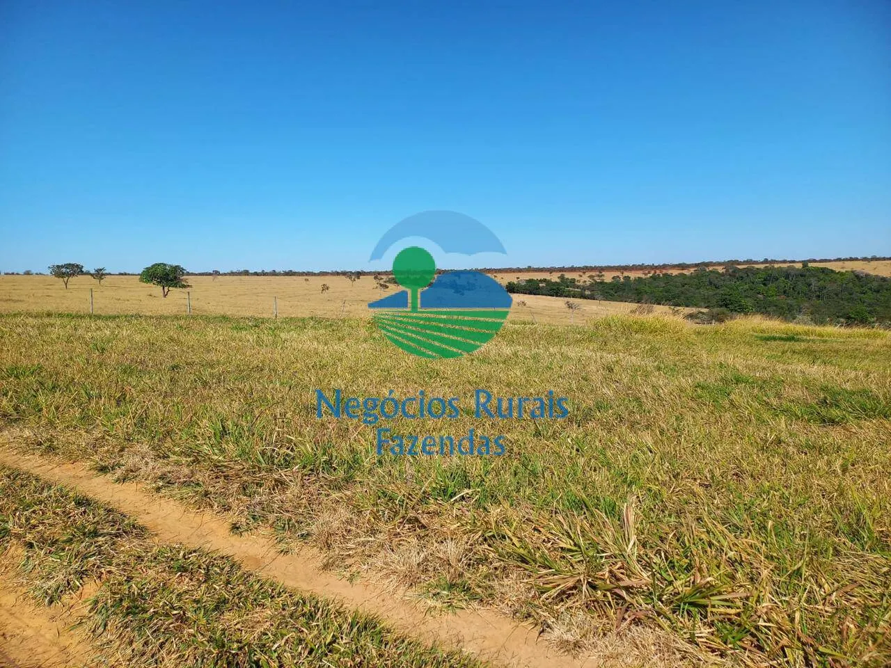 Farm for sale of 514 acres in Anápolis, GO, Brazil