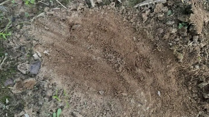 Terreno à venda de 360 m² em Santo Antônio da Patrulha, RS, Brasil