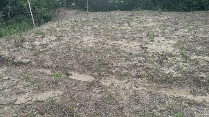 Terreno à venda de 360 m² em Santo Antônio da Patrulha, RS, Brasil