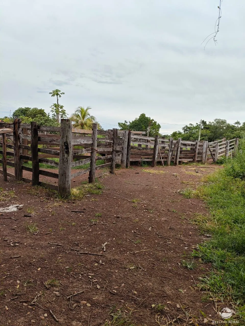 Fazenda à venda de 909 ha em Alvorada, TO, Brasil