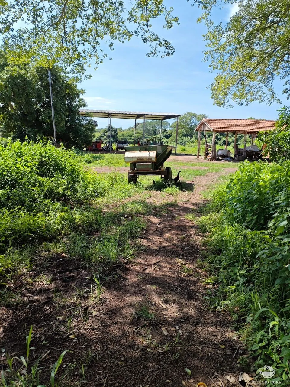 Fazenda à venda de 909 ha em Alvorada, TO, Brasil
