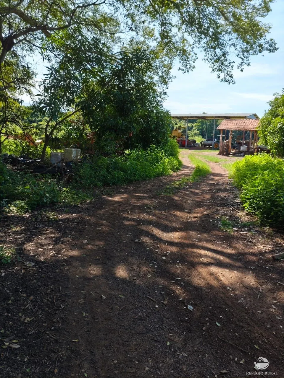 Fazenda à venda de 909 ha em Alvorada, TO, Brasil