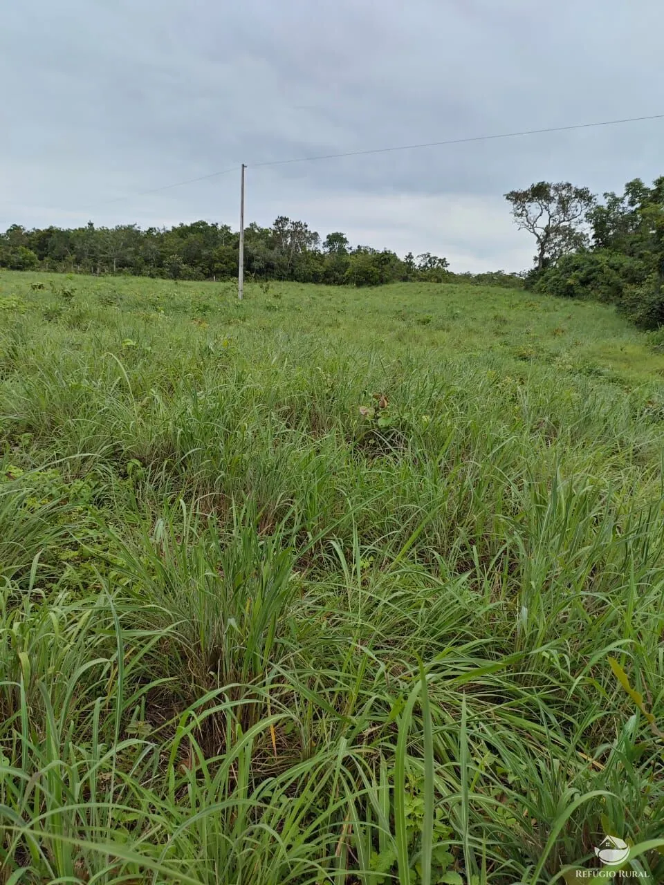 Fazenda à venda de 909 ha em Alvorada, TO, Brasil