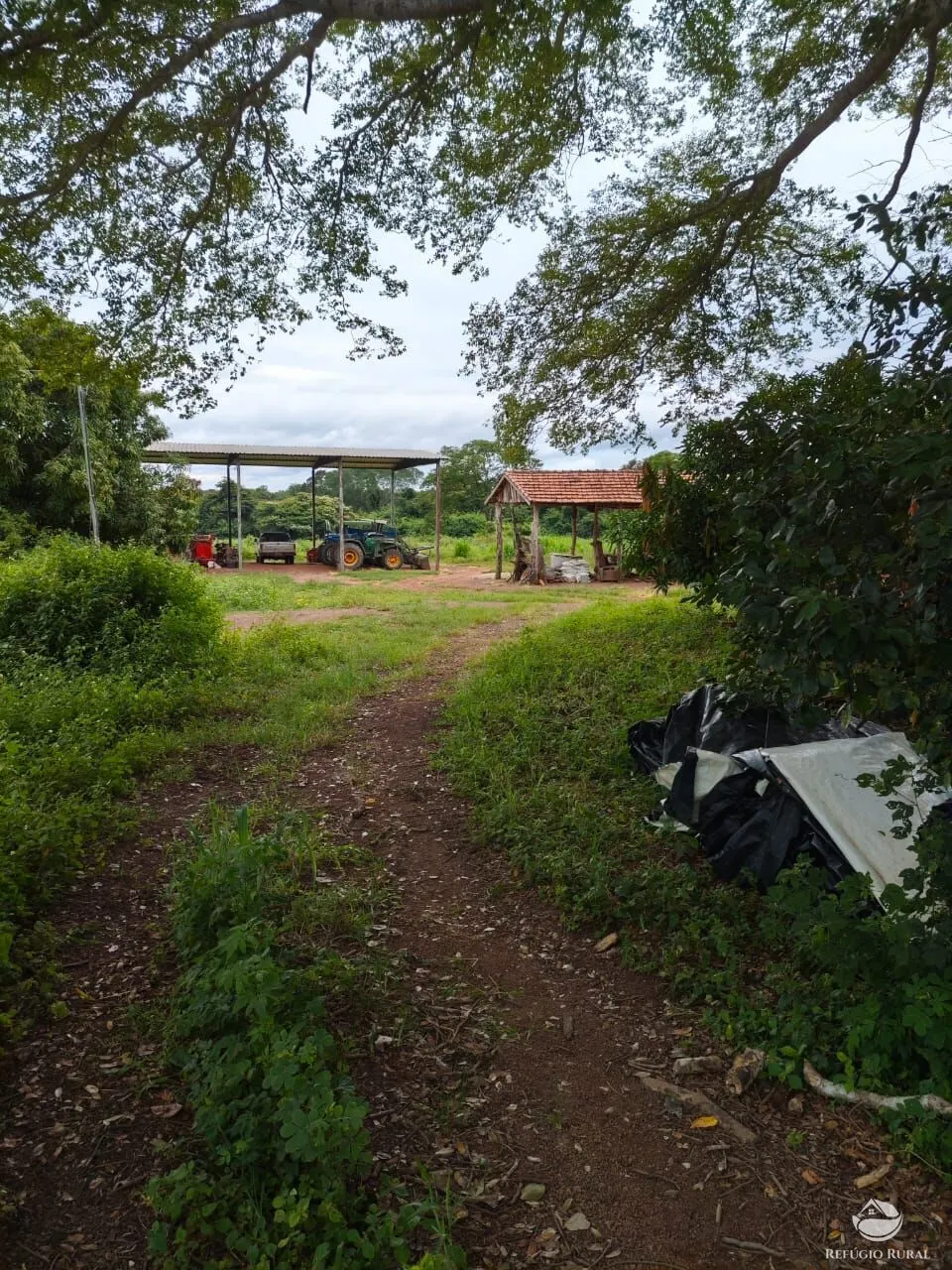Fazenda à venda de 909 ha em Alvorada, TO, Brasil