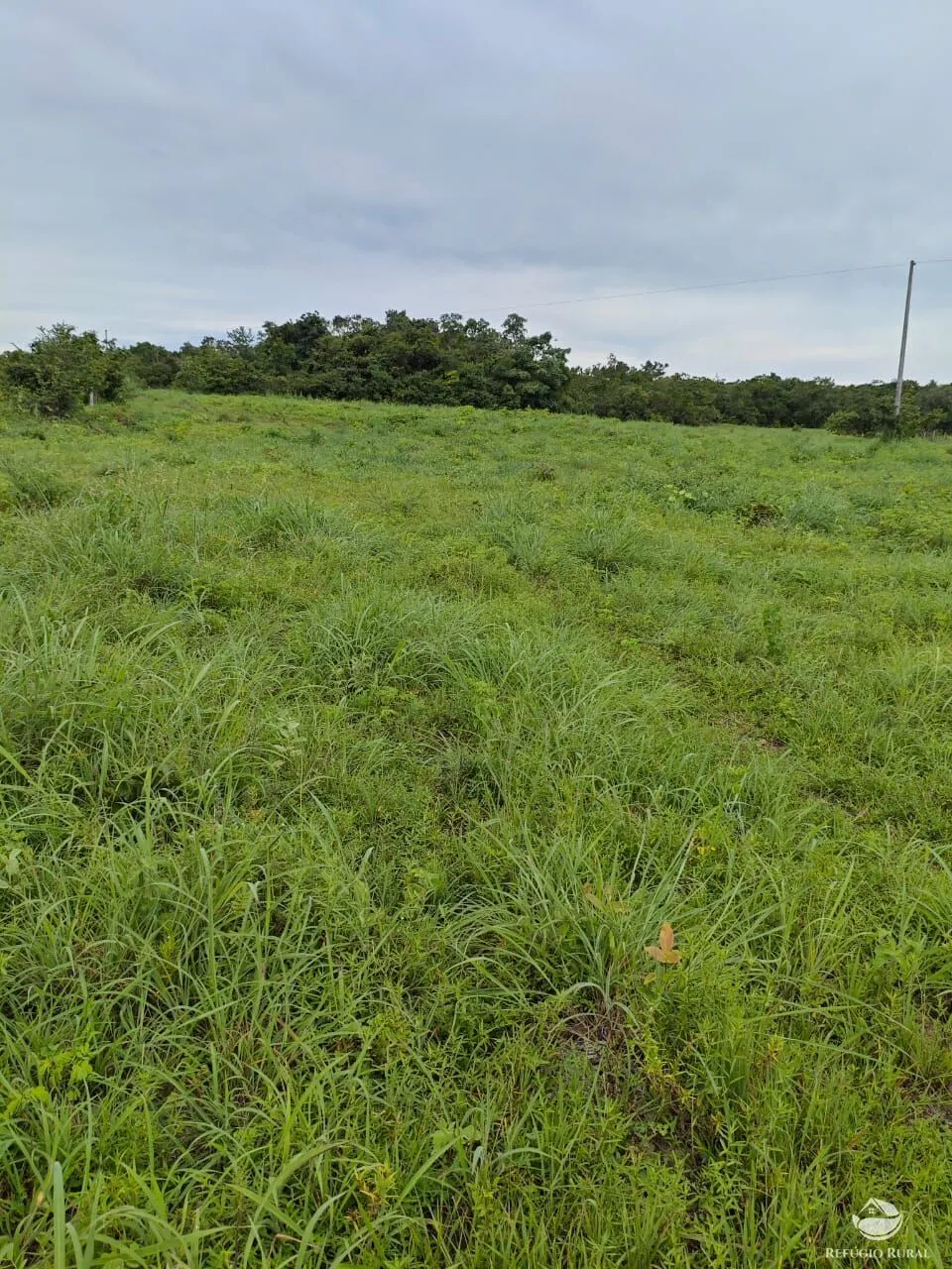 Fazenda à venda de 909 ha em Alvorada, TO, Brasil
