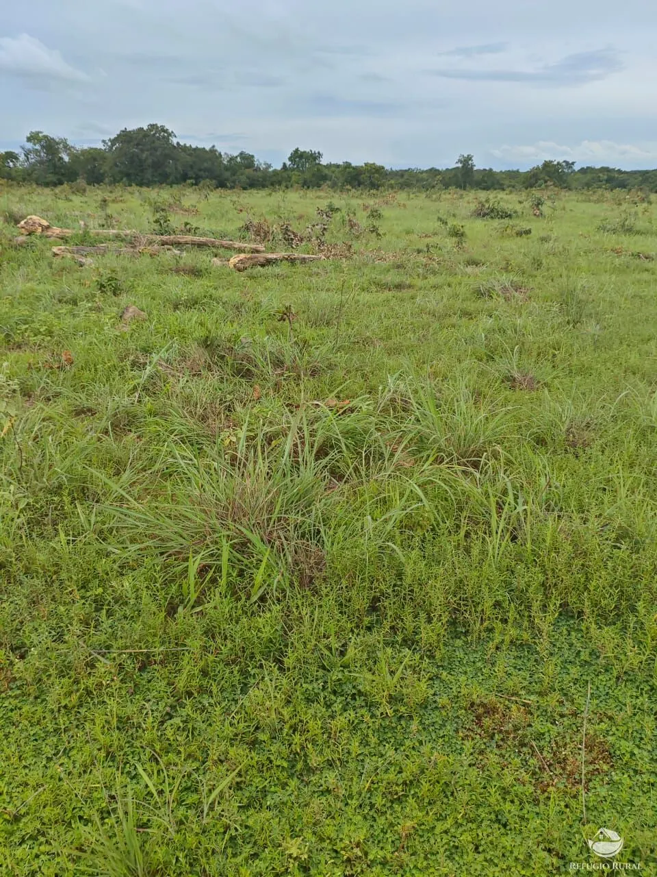 Fazenda à venda de 909 ha em Alvorada, TO, Brasil