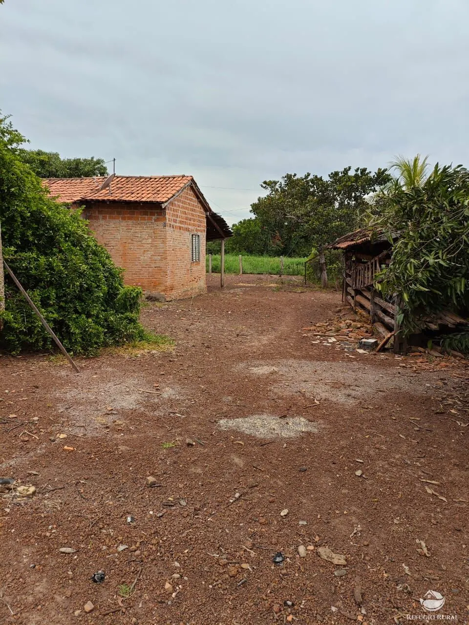 Fazenda à venda de 909 ha em Alvorada, TO, Brasil