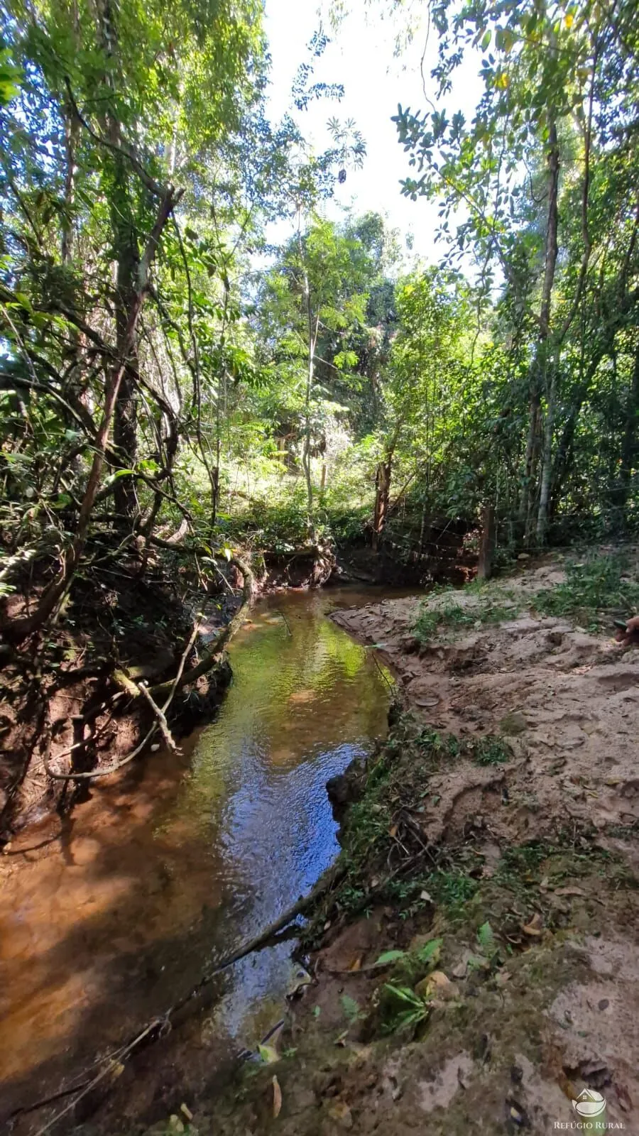 Sítio à venda de 82 ha em Aparecida do Rio Doce, GO, Brasil