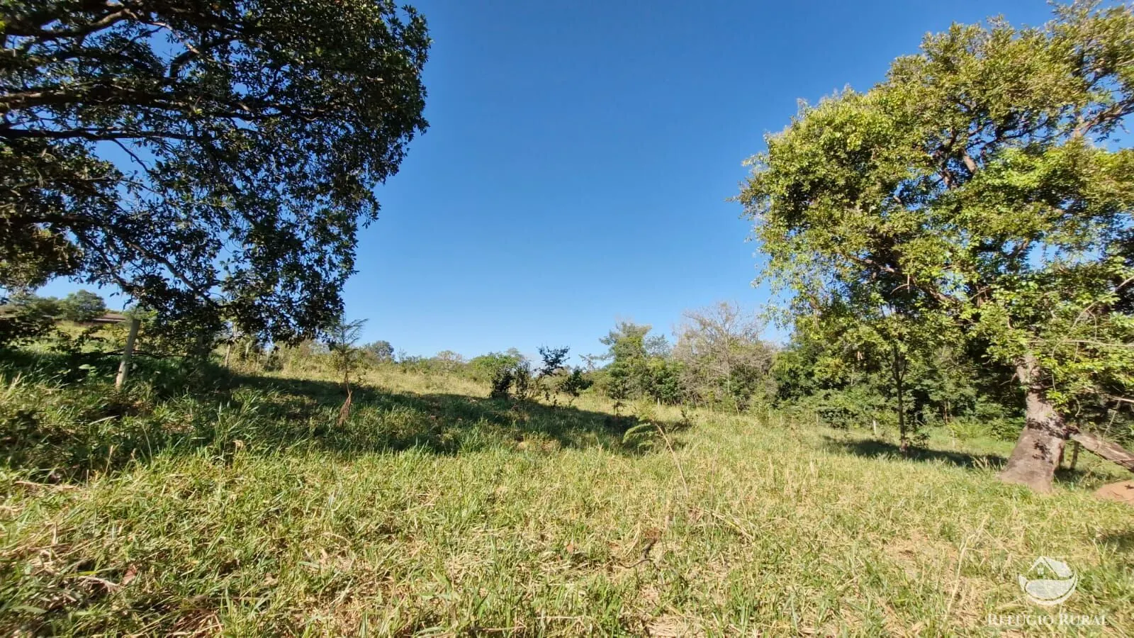Sítio à venda de 82 ha em Aparecida do Rio Doce, GO, Brasil