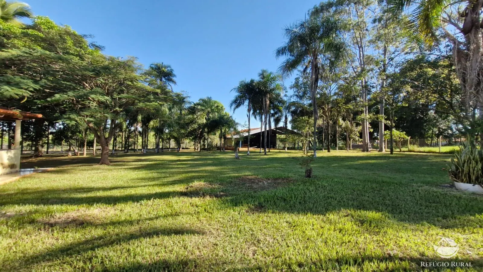 Sítio à venda de 82 ha em Aparecida do Rio Doce, GO, Brasil