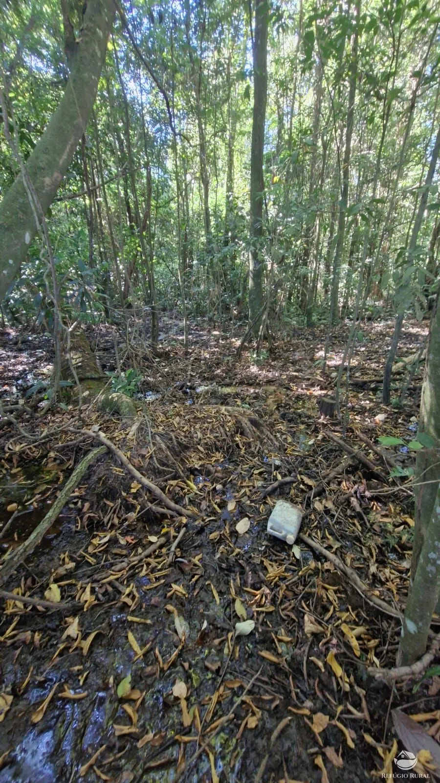 Sítio à venda de 82 ha em Aparecida do Rio Doce, GO, Brasil