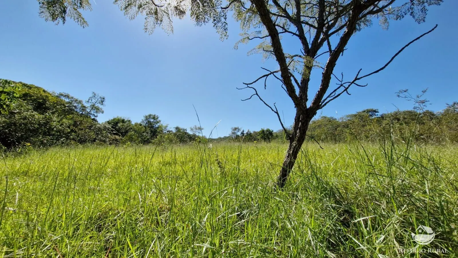 Sítio à venda de 82 ha em Aparecida do Rio Doce, GO, Brasil