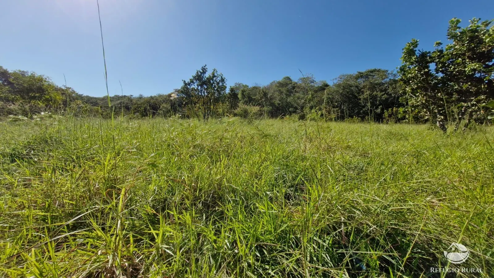 Sítio à venda de 82 ha em Aparecida do Rio Doce, GO, Brasil