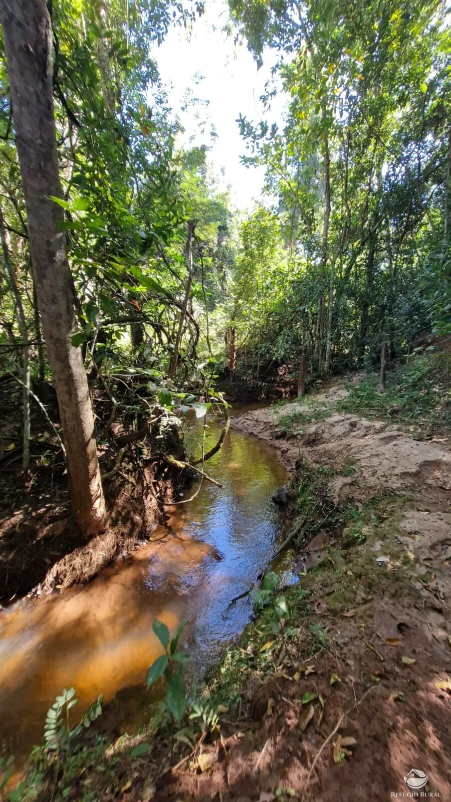 Sítio à venda de 82 ha em Aparecida do Rio Doce, GO, Brasil