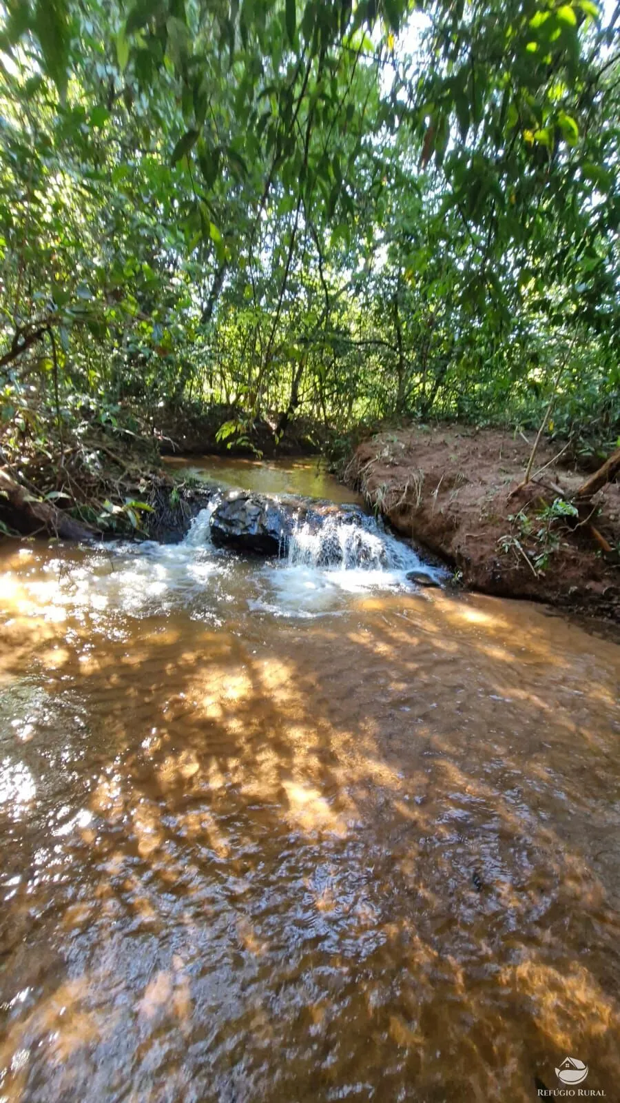 Sítio à venda de 82 ha em Aparecida do Rio Doce, GO, Brasil