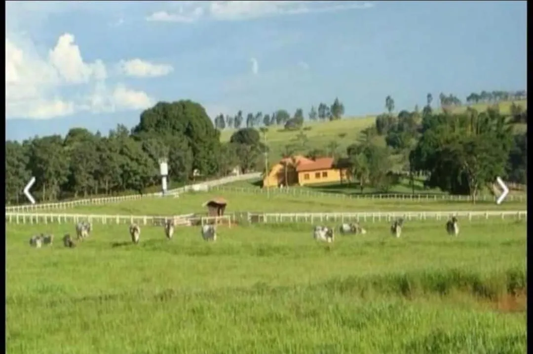 Farm for sale of 975 acres in Bauru, SP, Brazil