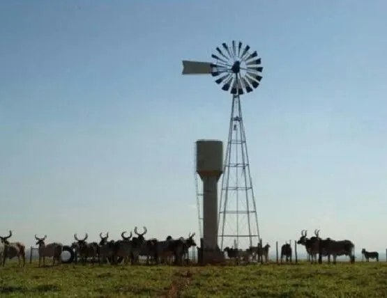 Farm for sale of 975 acres in Bauru, SP, Brazil