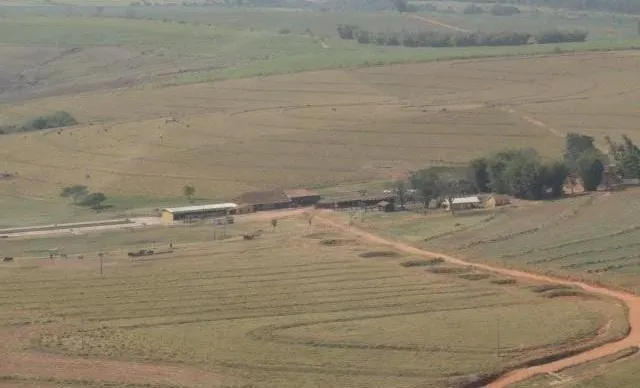 Farm for sale of 975 acres in Bauru, SP, Brazil