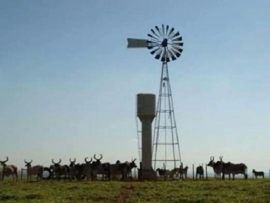 Farm for sale of 975 acres in Bauru, SP, Brazil