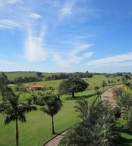 Farm for sale of 975 acres in Bauru, SP, Brazil