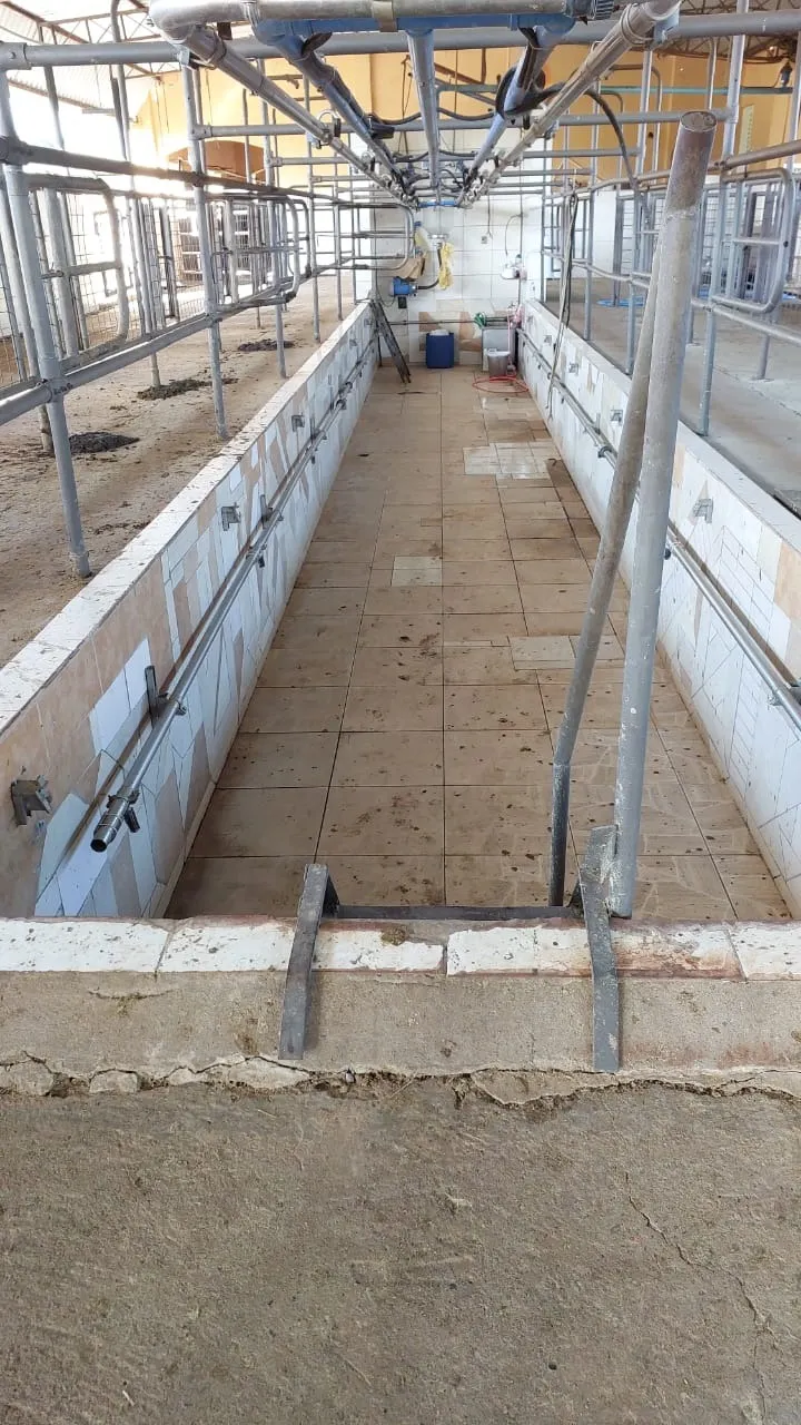 Farm for sale of 975 acres in Bauru, SP, Brazil