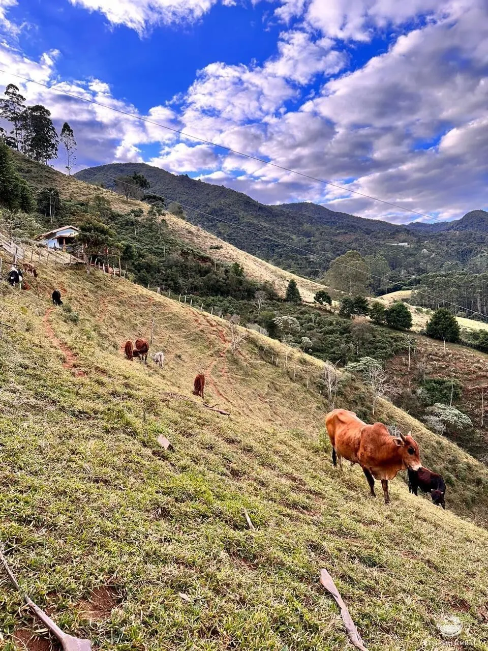 Sítio à venda de 2 ha em São José dos Campos, SP, Brasil