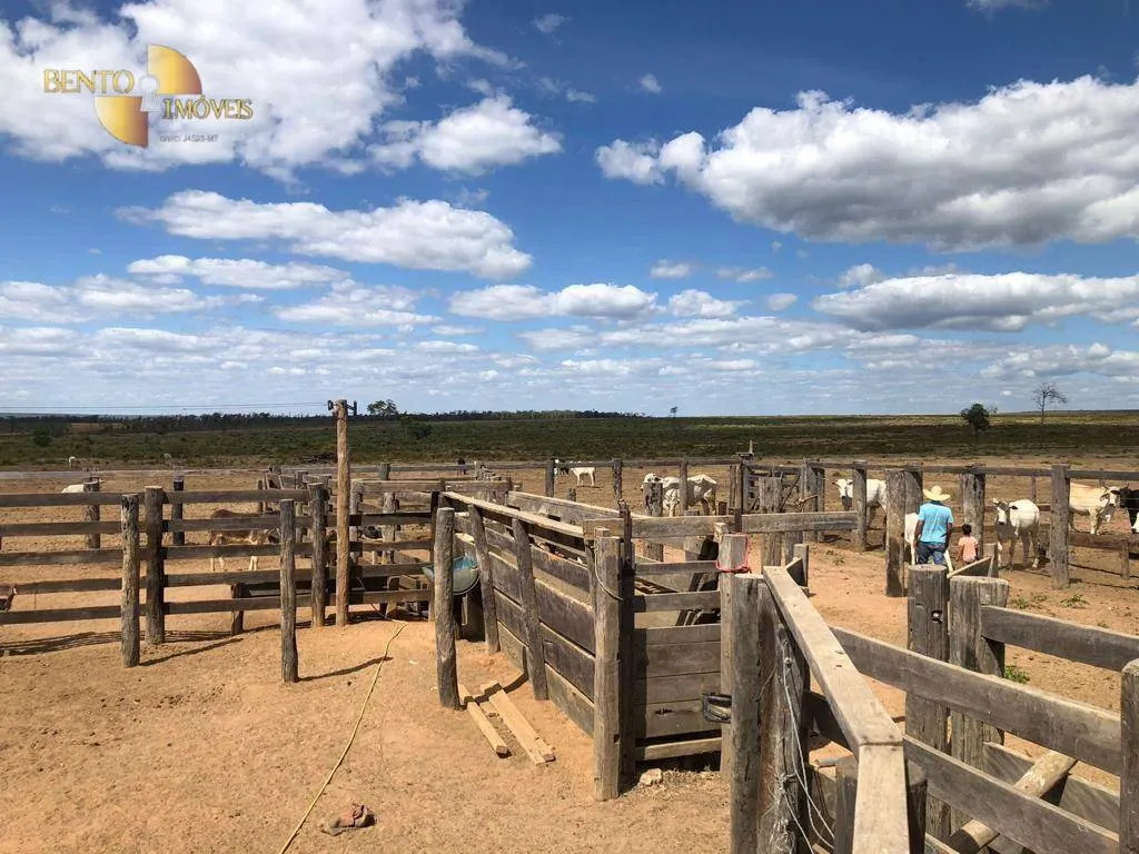 Fazenda à venda de 13.100 ha em Paranatinga, MT, Brasil