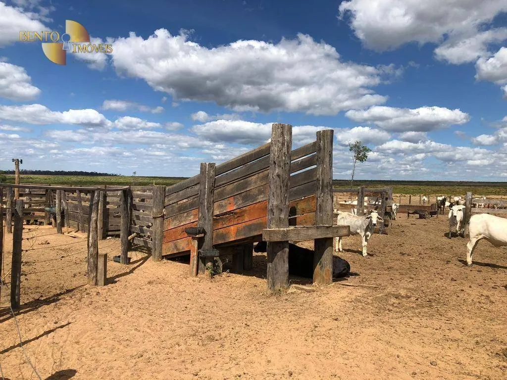 Fazenda à venda de 13.100 ha em Paranatinga, MT, Brasil