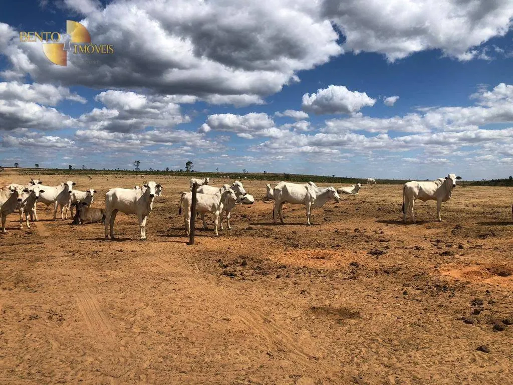 Fazenda à venda de 13.100 ha em Paranatinga, MT, Brasil