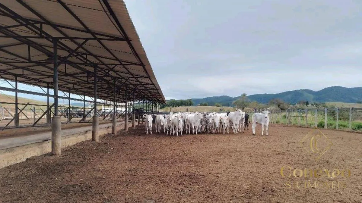 Fazenda à venda de 257 ha em Caçapava, SP, Brasil