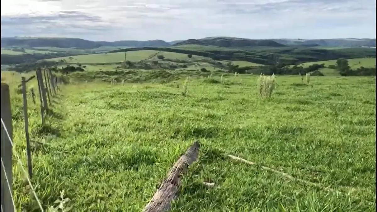Fazenda à venda de 225 ha em Marília, SP, Brasil
