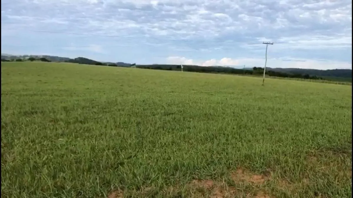 Fazenda à venda de 225 ha em Marília, SP, Brasil