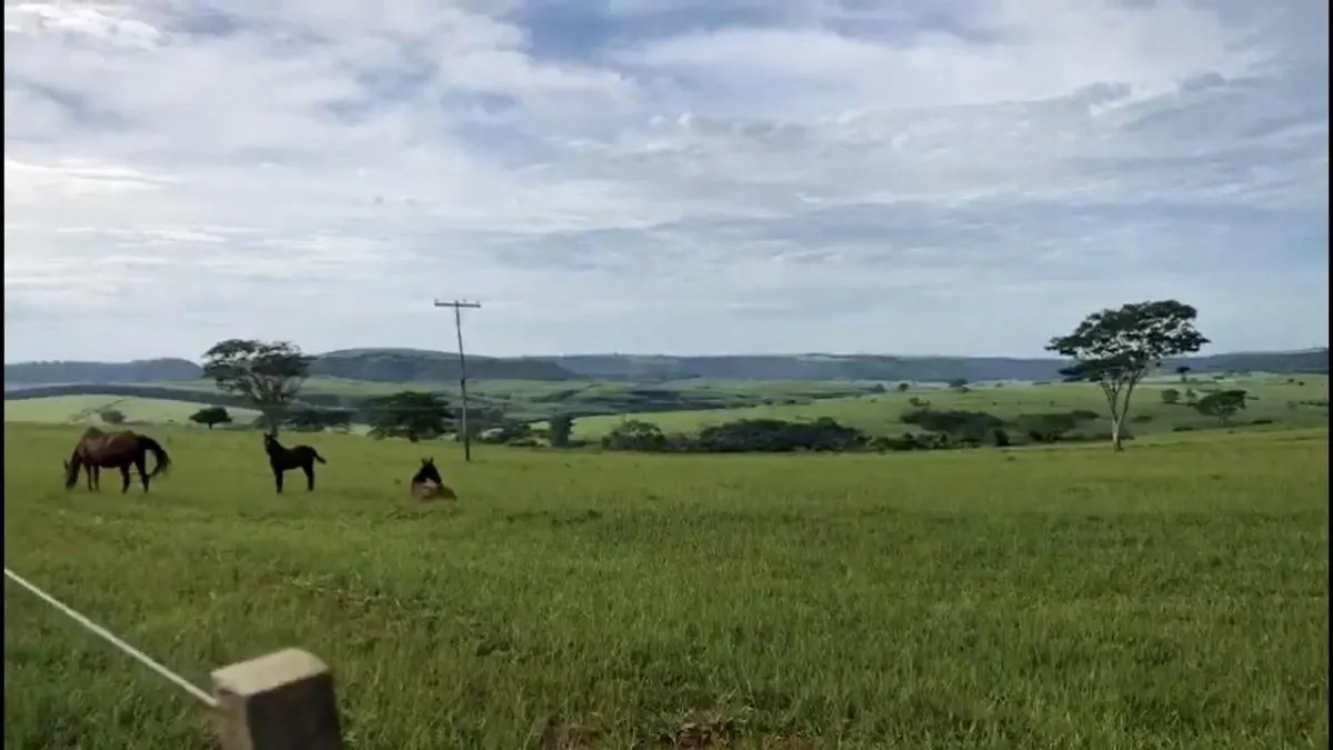 Fazenda à venda de 225 ha em Marília, SP, Brasil