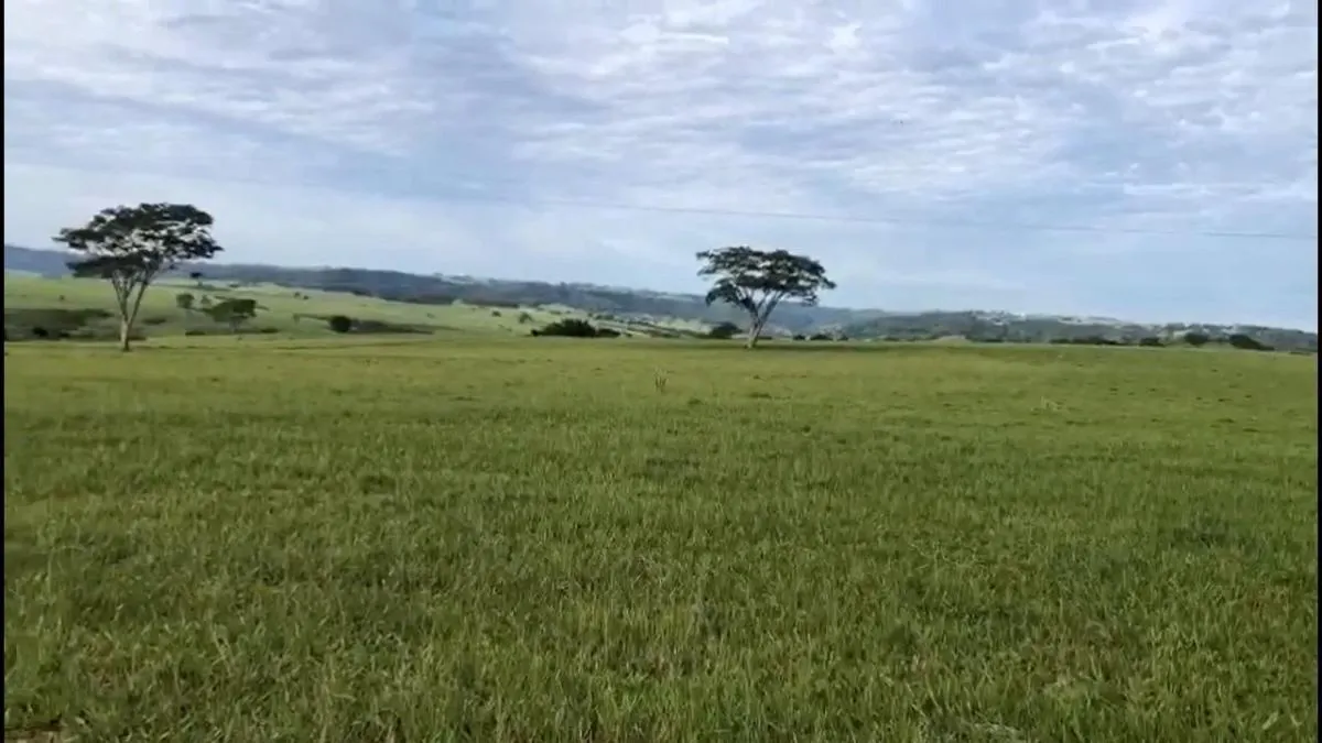 Fazenda à venda de 225 ha em Marília, SP, Brasil