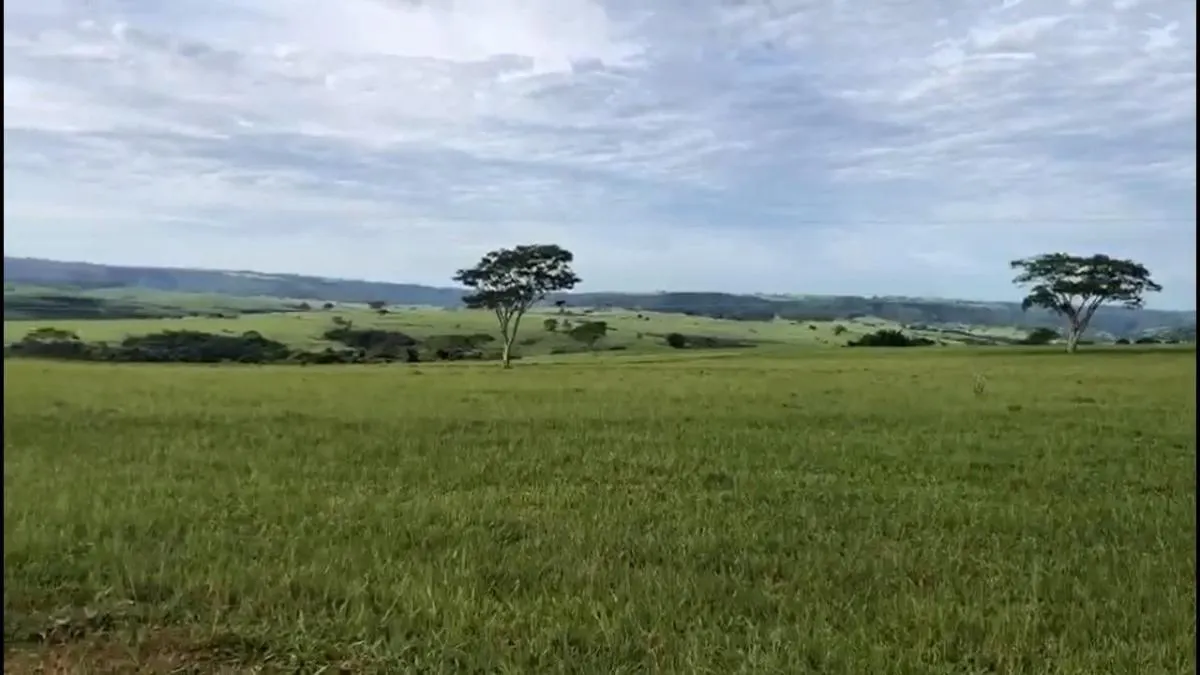 Fazenda à venda de 225 ha em Marília, SP, Brasil