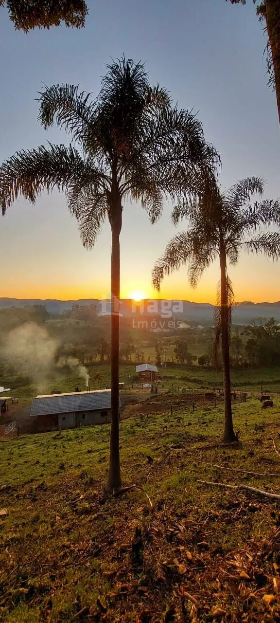 Fazenda à venda de 51 ha em Doutor Pedrinho, SC, Brasil